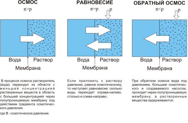 Осмос это простым языком. Обратный осмос и осмос разница. Прямой и обратный осмос отличия. Осмос схема процесса. Обратный осмос принцип.